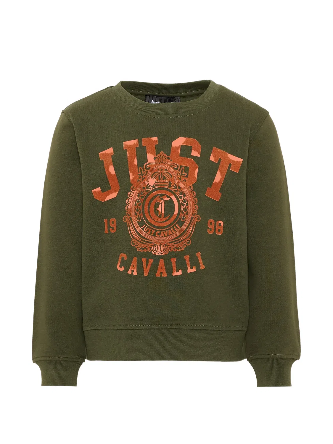 Just Cavalli Свитшот с принтом логотипа зеленый