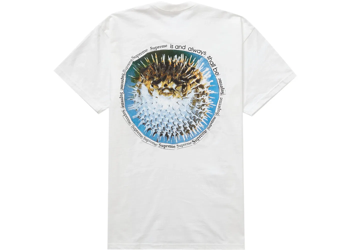 Мужская футболка с принтом Supreme Blowfish Tee, White