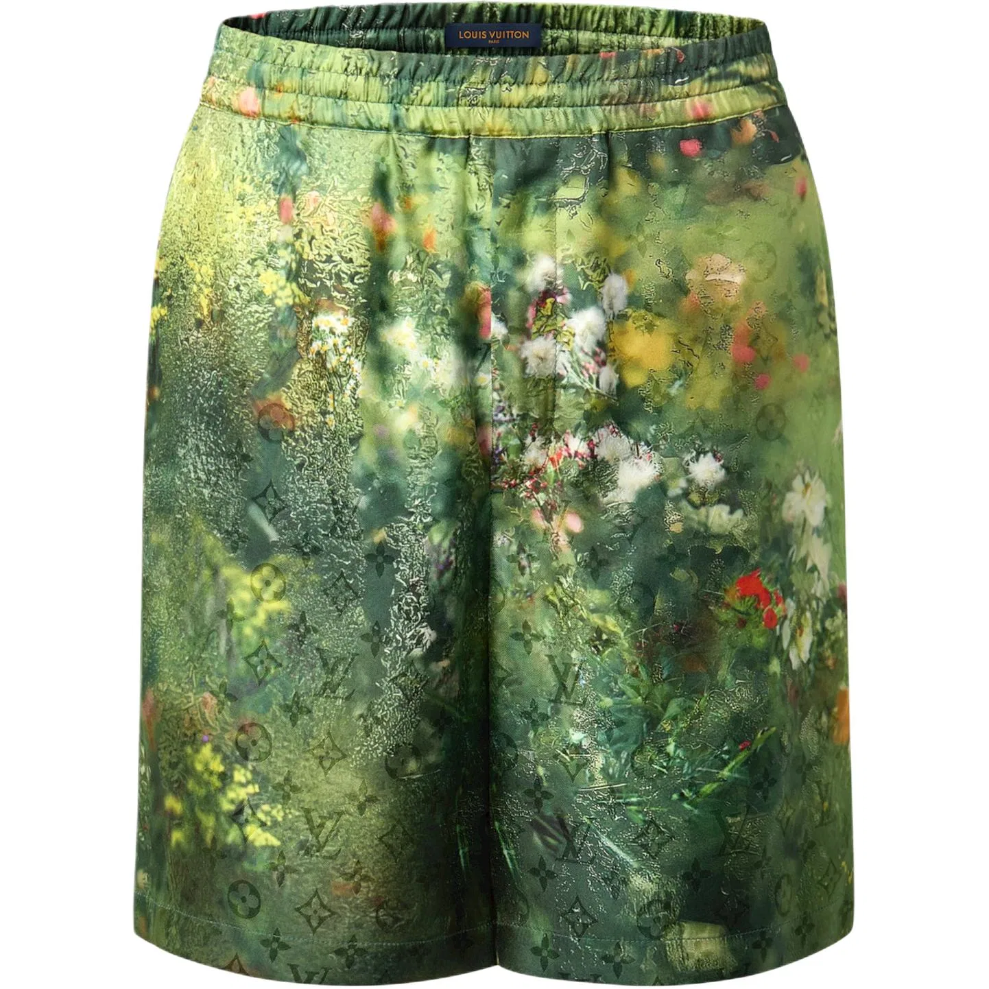 Мужские шорты повседневные Multicolor Monogram Casual Shorts LOUIS VUITTON