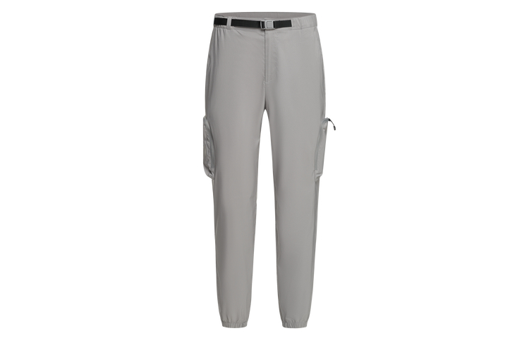 

Спортивные штаны bleu мужские DESCENTE, серый