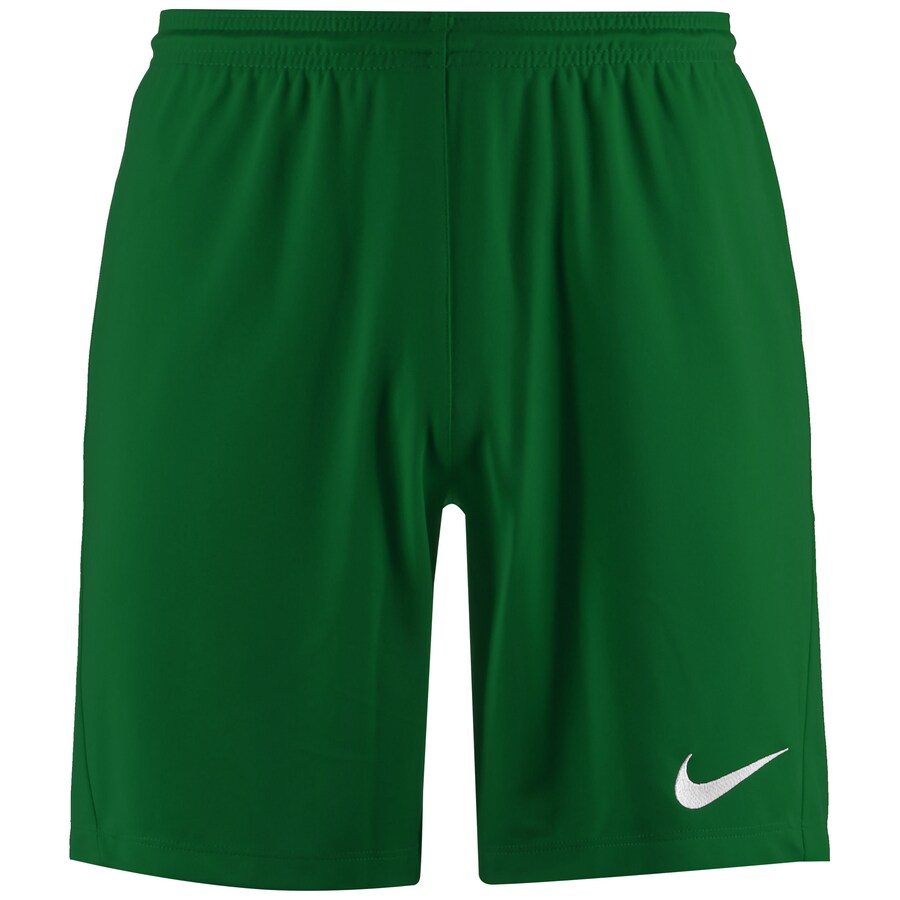 

Обычные спортивные штаны NIKE Park III, зеленый