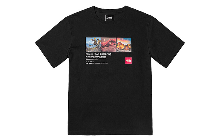 

THE NORTH FACE Мужская футболка, черный