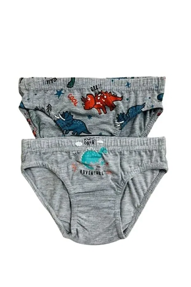 Детский комплект нижнего белья для мальчиков с принтом Elmas Kids, Gray