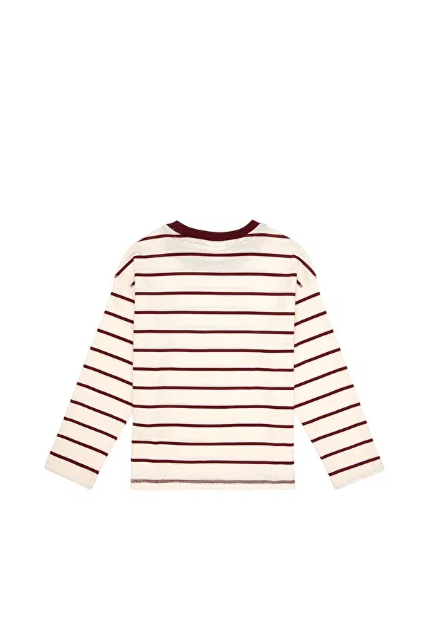 Детское худи с длинным рукавом U.S. Polo Assn., Burgundy — фото 3