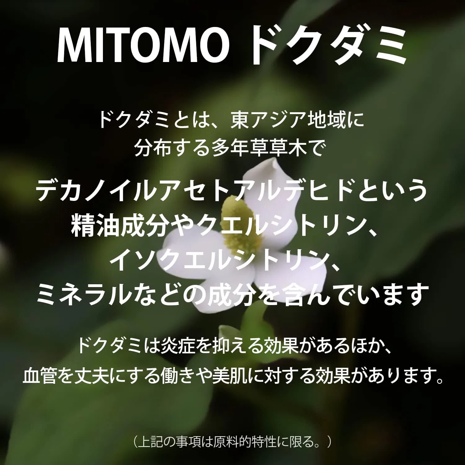 Маска для лица Itomato Life — Листовая MITOMO с жемчужным ячменем — фото 4