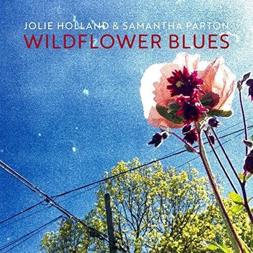 

CD диск Jolie Holland & Samantha Parton: Wildflower Blues