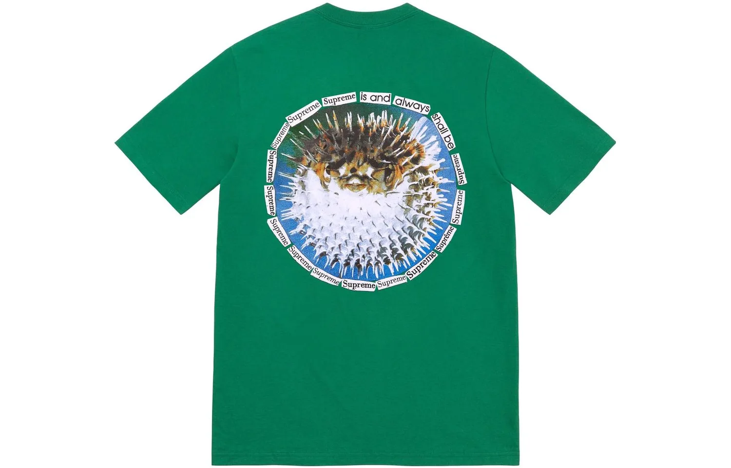 Футболка Blowfish Supreme, Green/Light Pine