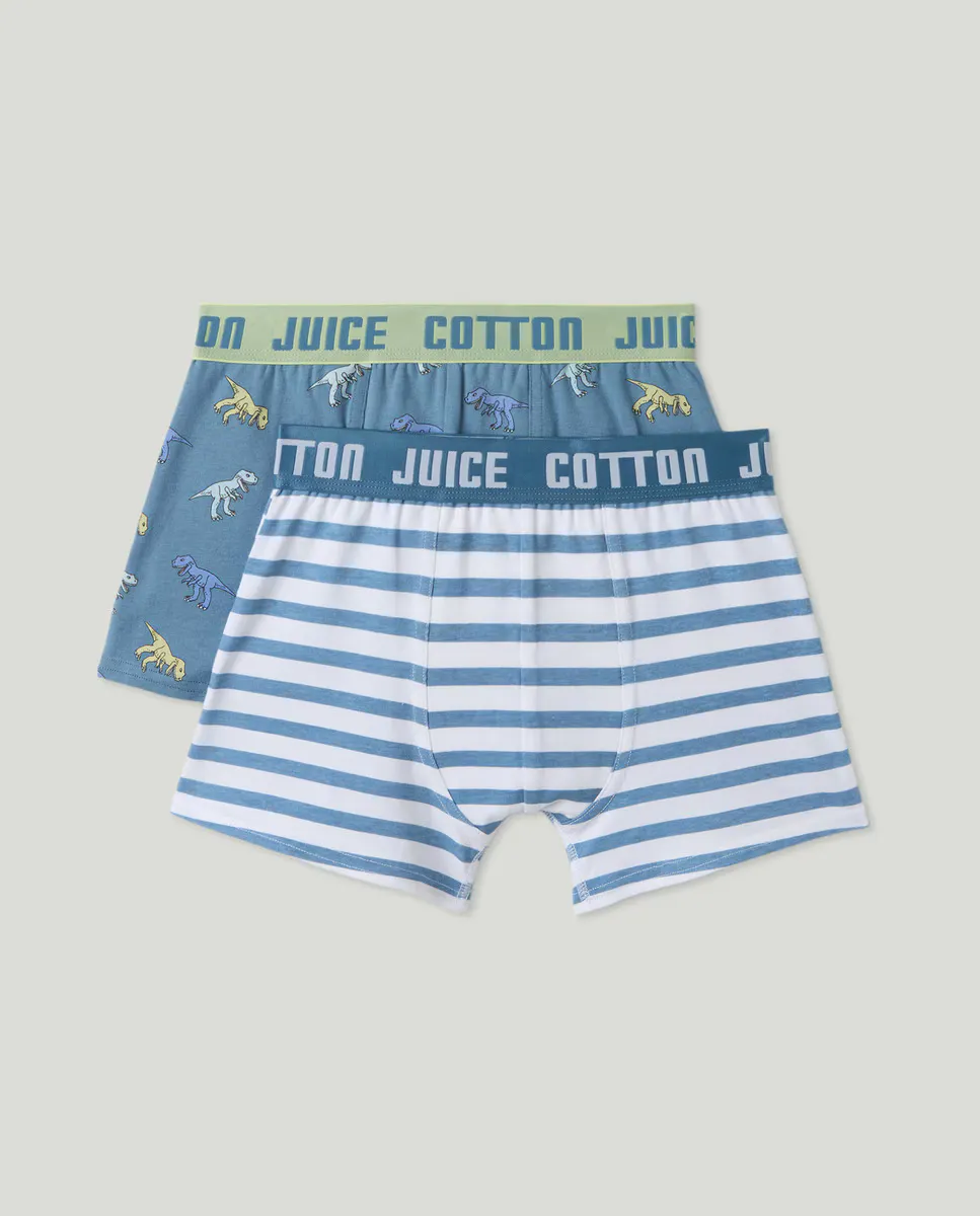 

Упаковка из двух боксеров для мальчиков Cotton Juice, многоцветный