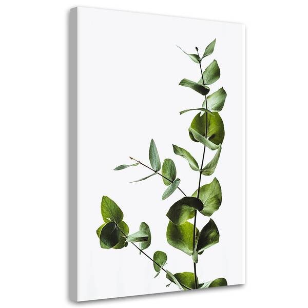 

Картина арт-принт KUNSTLOFT Eucalyptus, зеленый