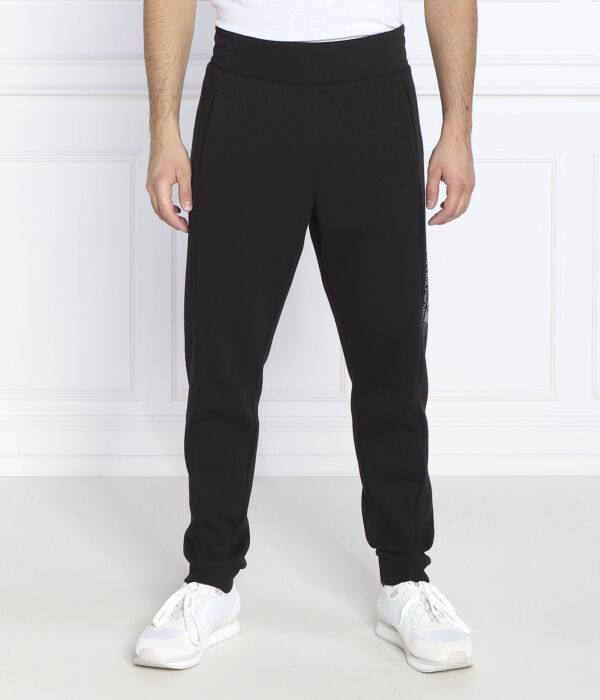 

Брюки Regular fit Ea7, черный