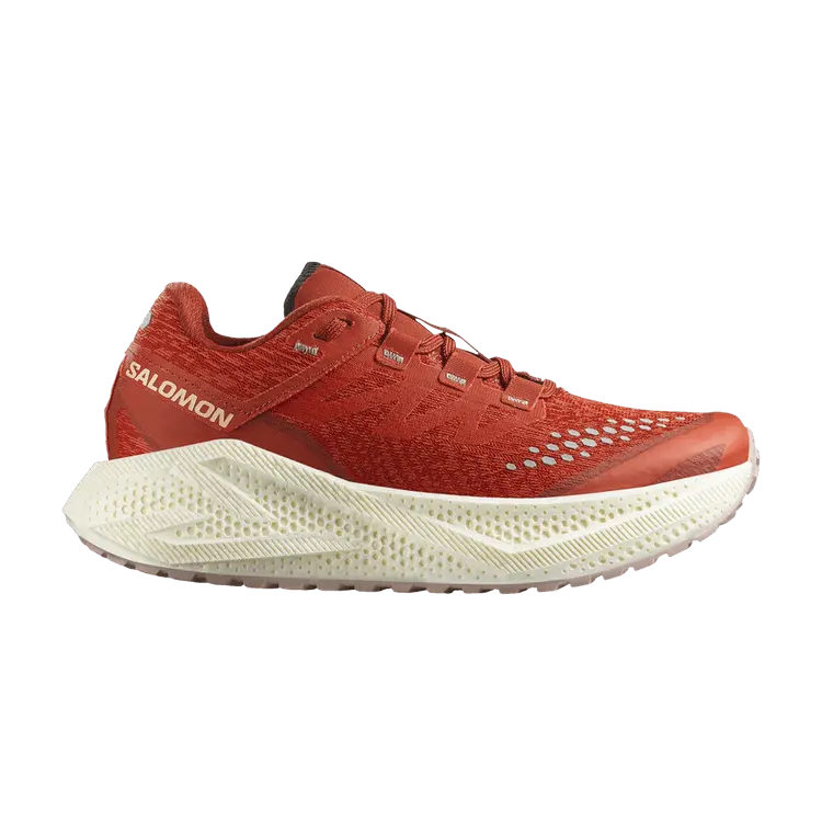 Кроссовки Salomon Wmns Aero Glide 3 GRVL, Burnt Ochre