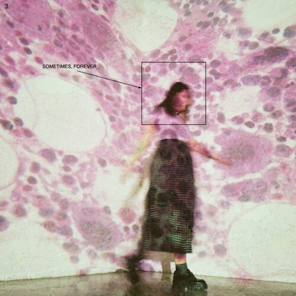 

Виниловая пластинка LP Sometimes, Forever [Bone Vinyl] - Soccer Mommy