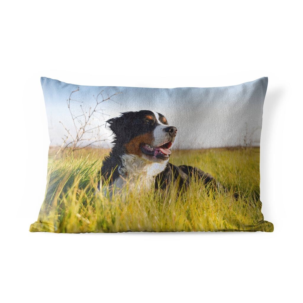 

Подушка MuchoWow для улицы — Бернский зенненхунд лежит в траве — 50x30 см — Устойчивость к атмосферным воздействиям — Подушка для отдыха — Чехол на подушку — Хлопчатобумажная ткань — Декоративные наволочки, мультиколор