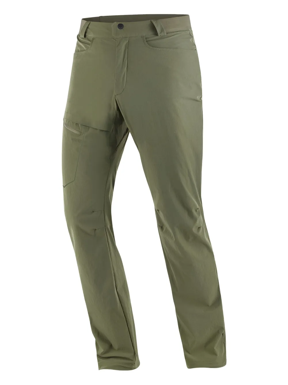 

Брюки Wayfarer с карманом на молнии Salomon, зеленый