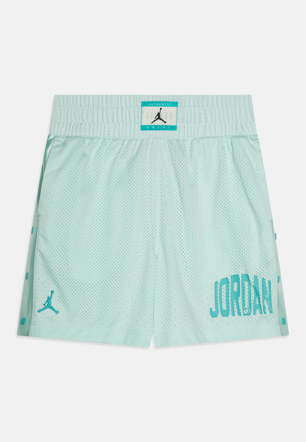 

Шорты TRAINING Jordan, мятный
