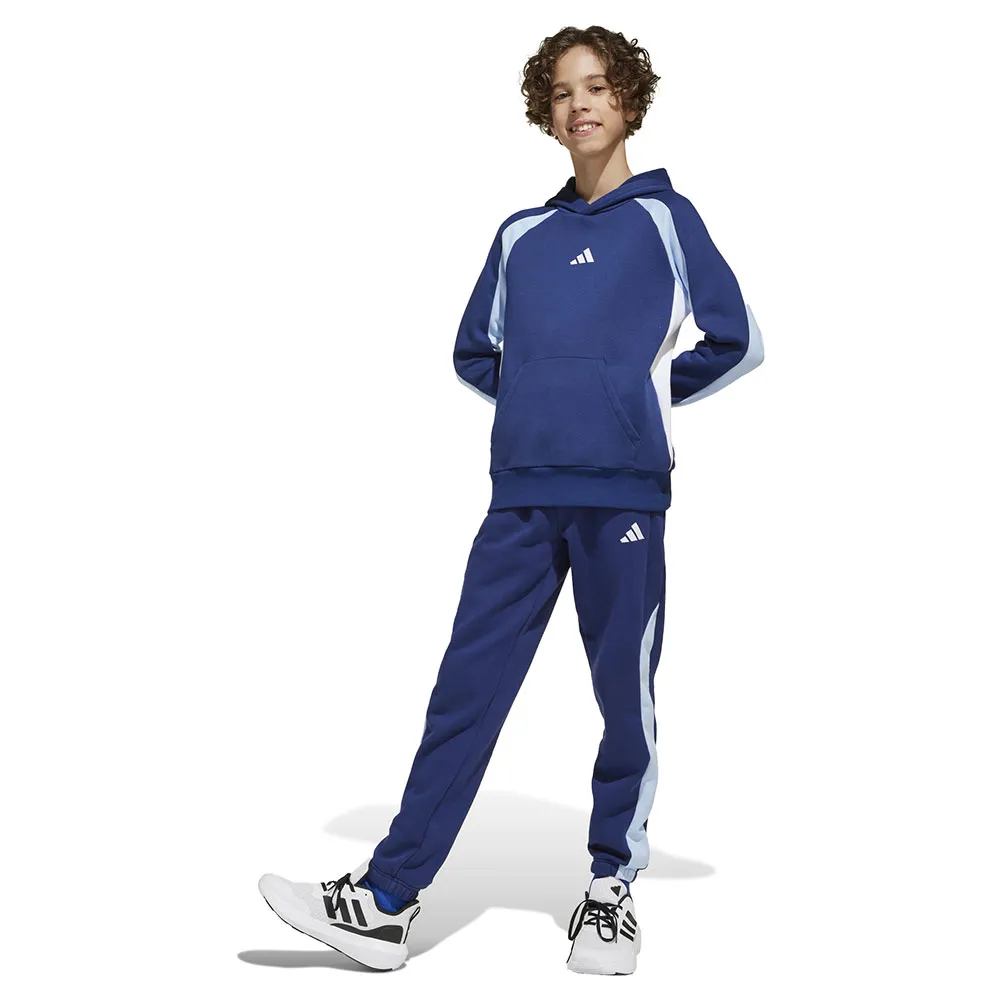 

Джоггеры adidas Seasonal Essentials Colorblock, синий