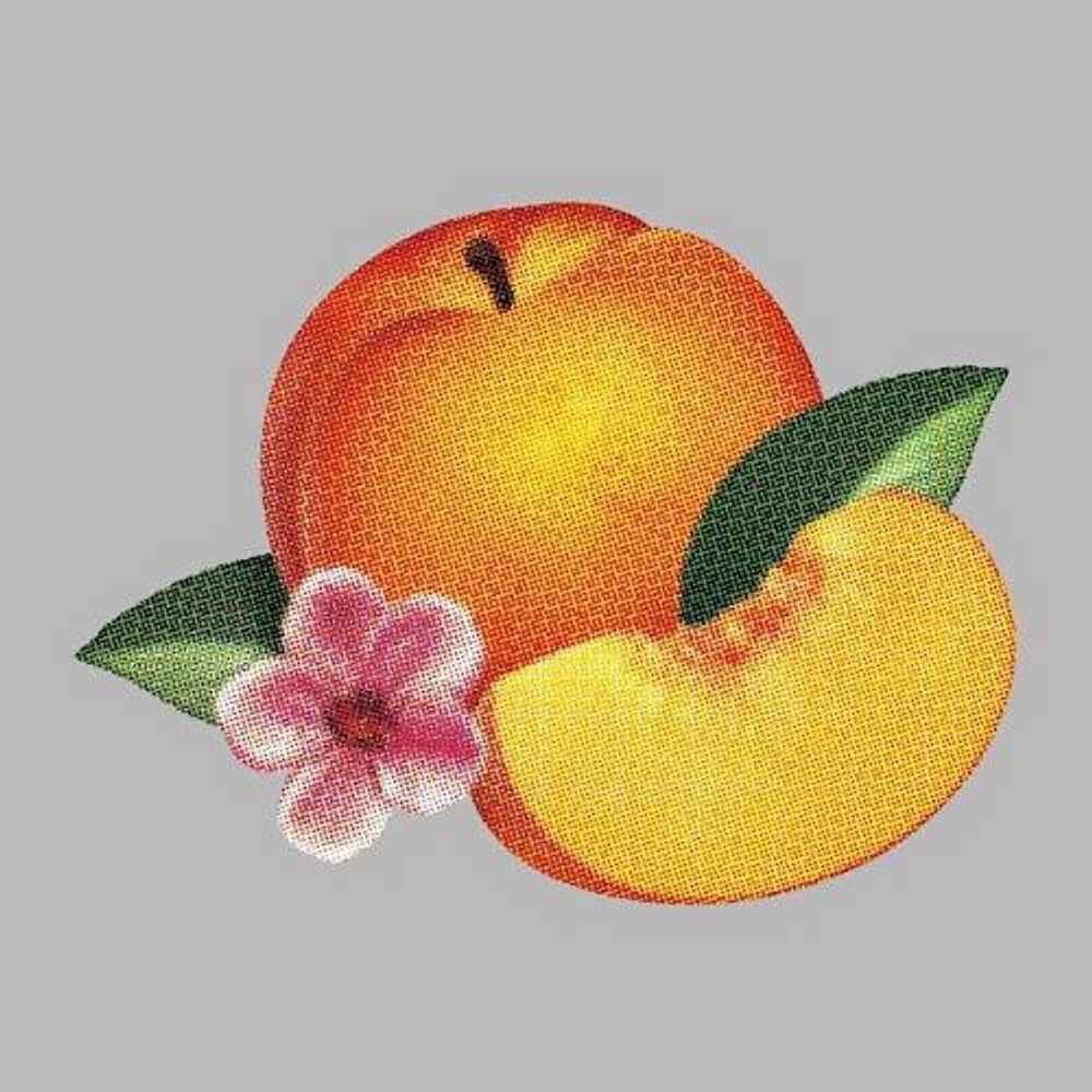 

Диск CD Bankrupt! - Phoenix