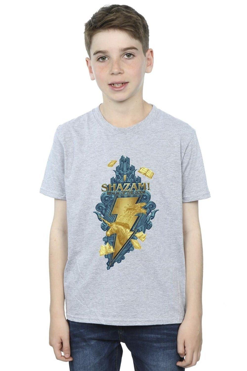 

Футболка Shazam Fury Of The Gods Golden Animal Bolt DC Comics, серый