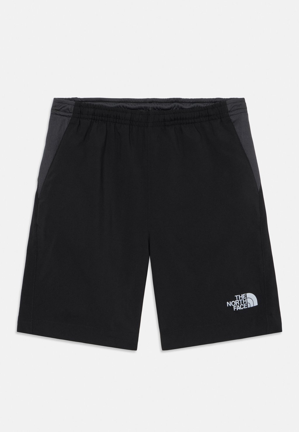 

Шорты REACTOR UNISEX The North Face, черный