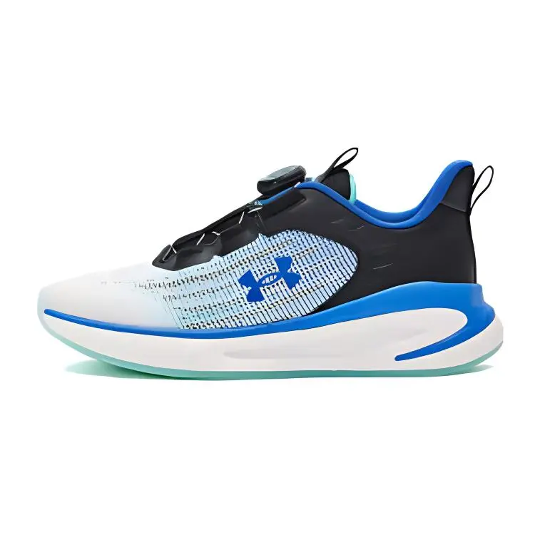 

Детские кроссовки Kids Low-top Black/Blue Under Armour, черный/синий