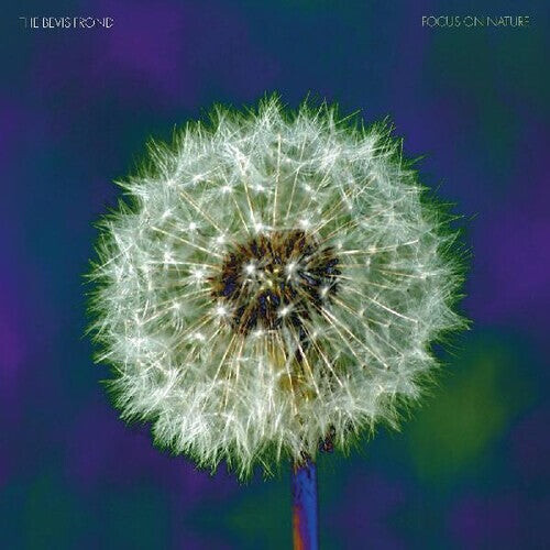 

CD диск Bevis Frond: Focus On Nature