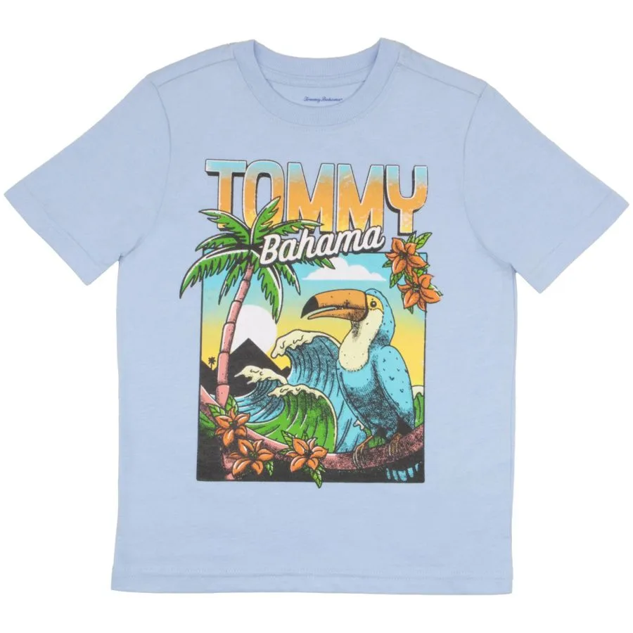 Детский комплект из двух повседневных футболок с круглым вырезом Tommy Bahama, светло-голубой/серый — фото 2