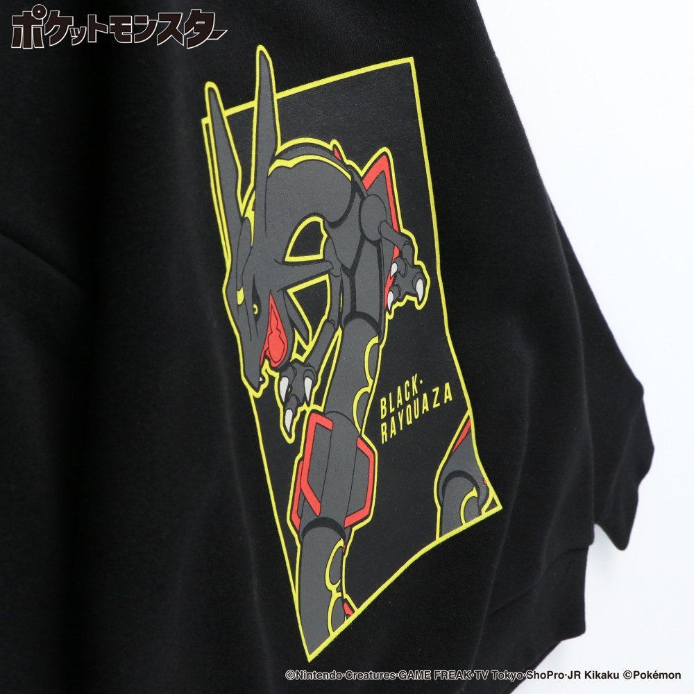 Толстовка на флисовой подкладке Branshes, 85 Black_BK Rayquaza