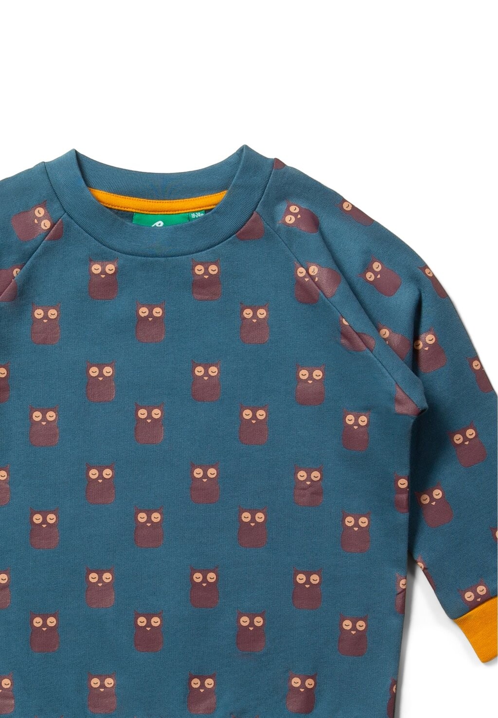 

Толстовка RAGLAN UNISEX Little Green Radicals, синий
