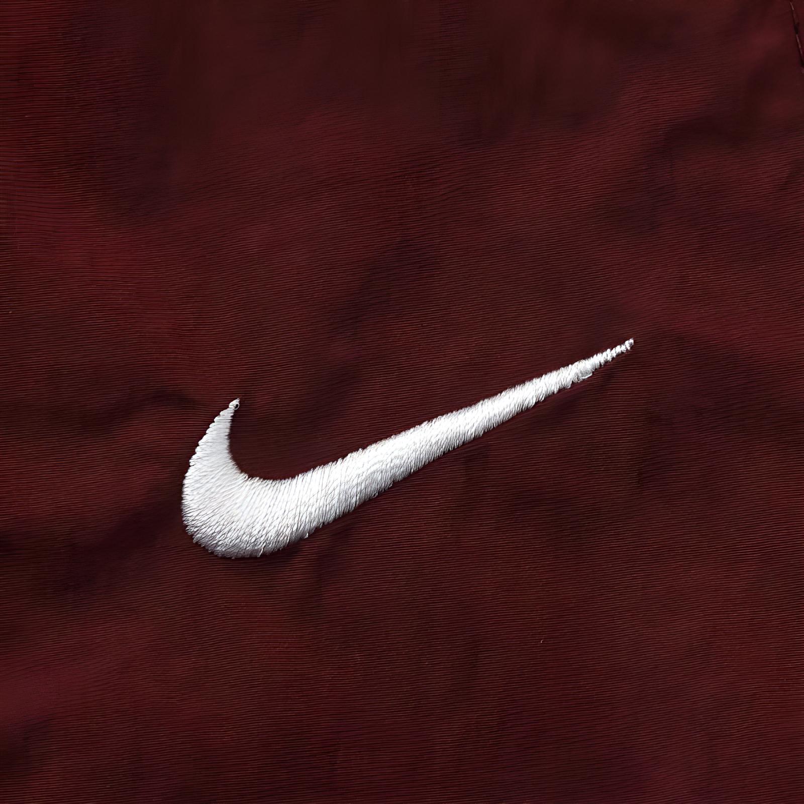 Nike Женские спортивные брюки коричневые — фото 4