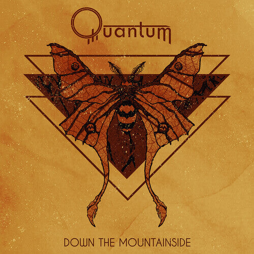 

CD диск Quantum: Down The Mountainside