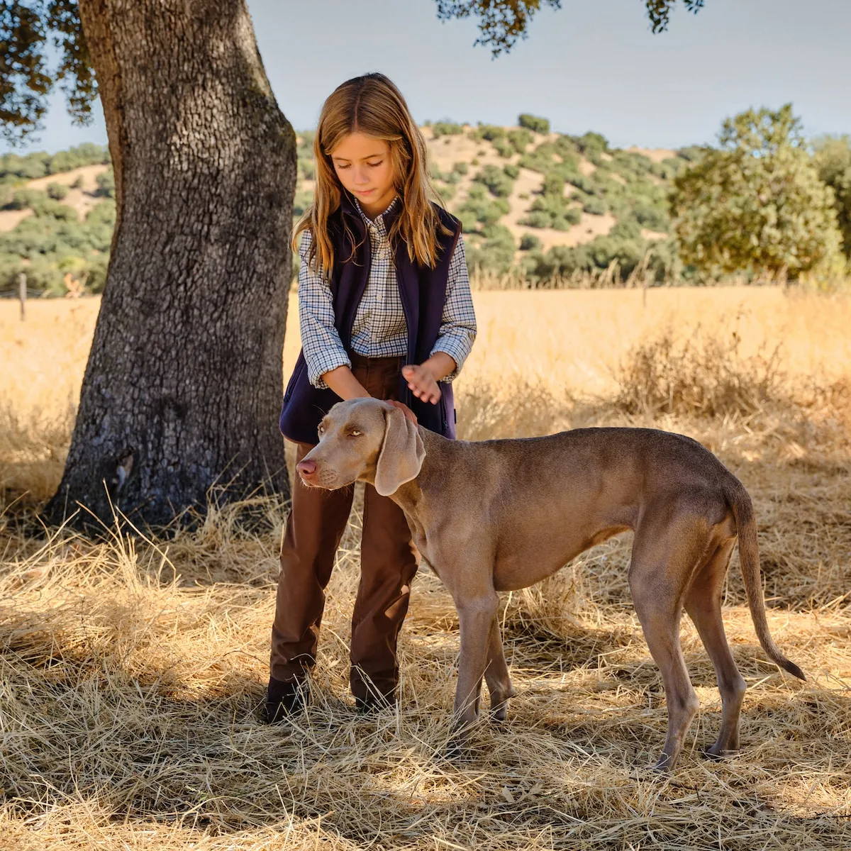 

Рубашка в многоклетку для мальчика Verhunt, синий