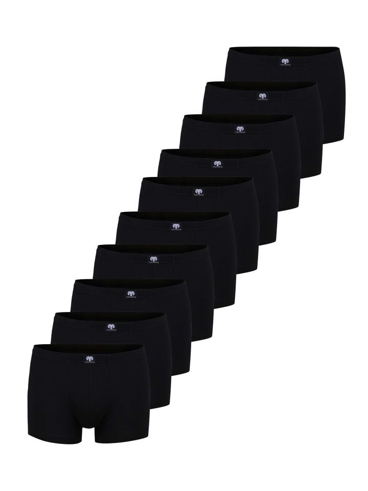 

Боксеры CECEBA