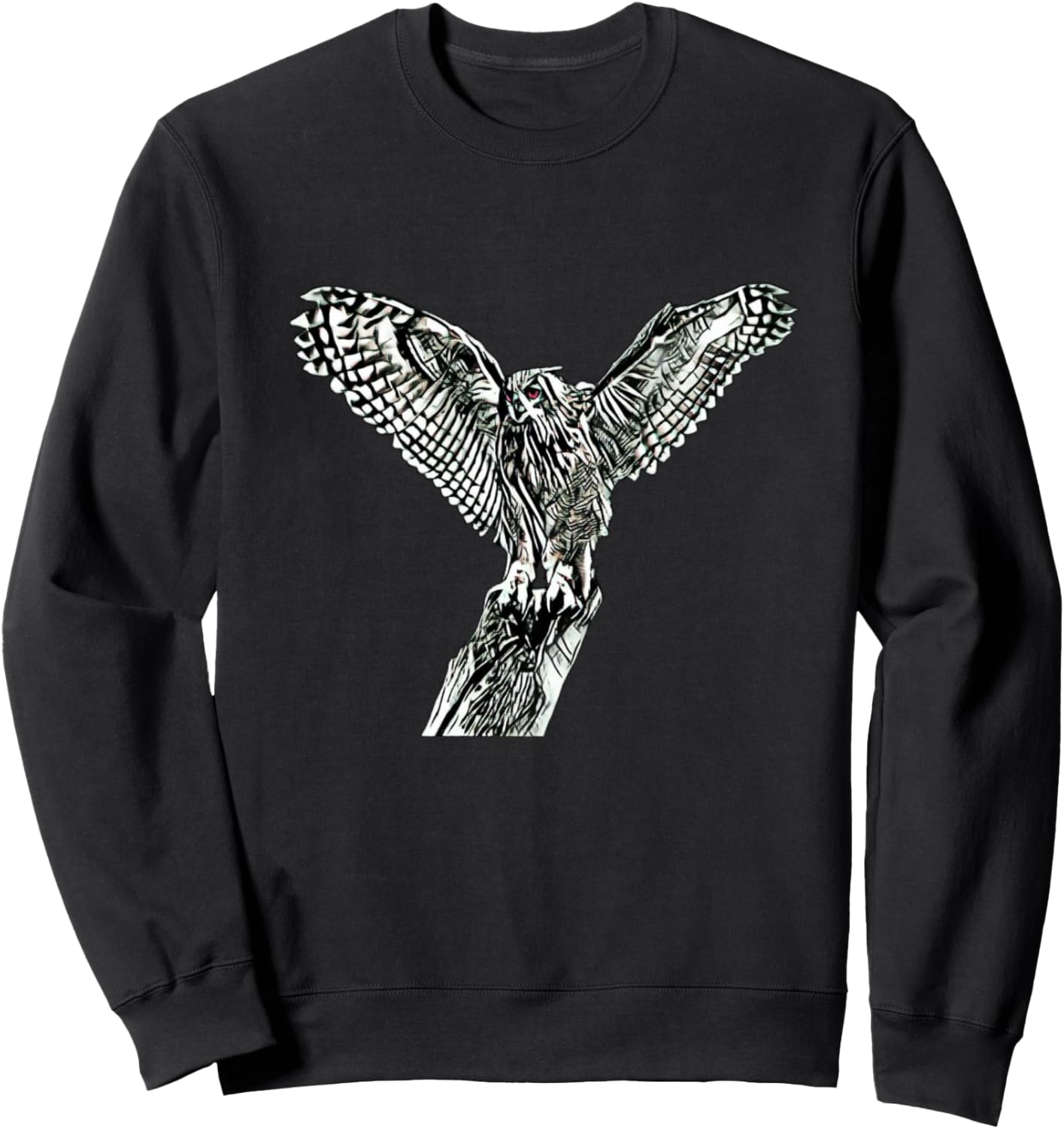 

Толстовка с изображением совы и хищной птицы Owl Bird Of Prey | Gifts For Men, Women, Kids, Boys, And Girls, черный
