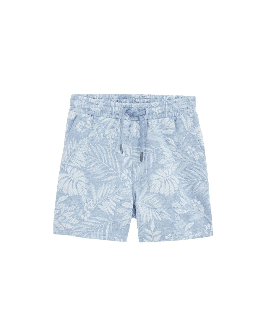 

Обычные брюки WE Fashion, цвет Pastel blue/Light blue