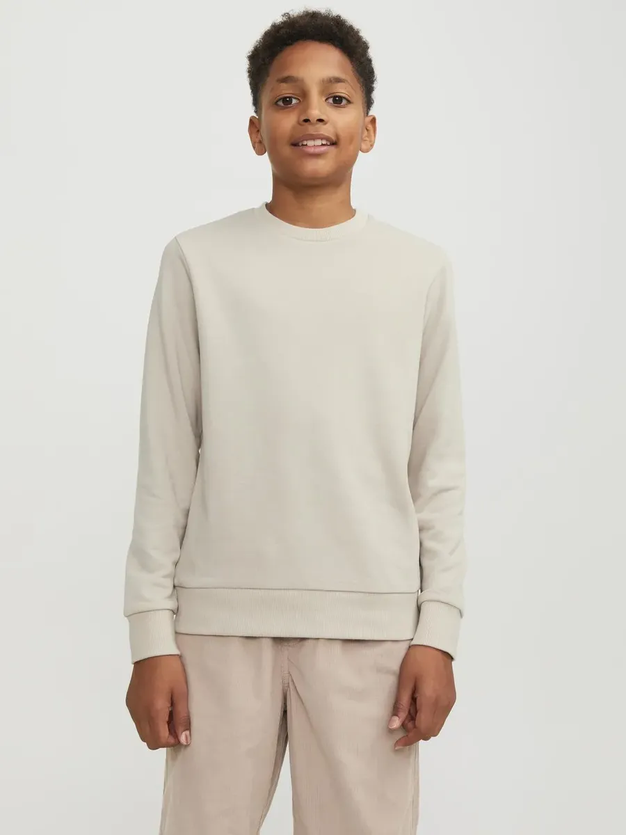 

Толстовка Jack & Jones Junior "JJEBRADLEY SWEAT CREW NOOS JNR", цвет Moonbeam