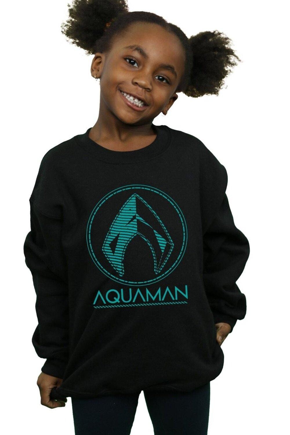 

Толстовка с логотипом Aquaman Aquaman DC Comics, черный