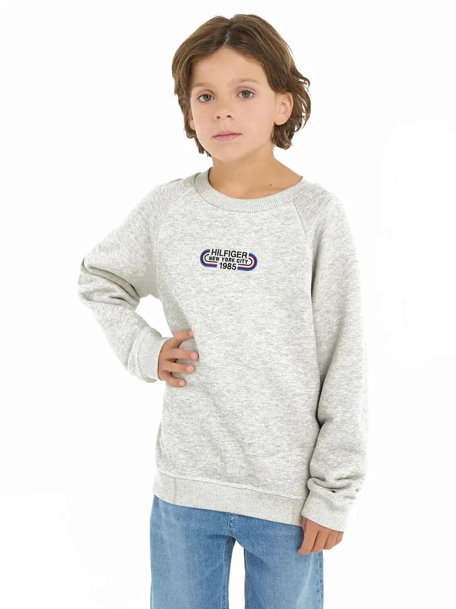 

Толстовка Tommy Hilfiger "HILFIGER TRACK SWEATSHIRT", дети до 16 лет, серый