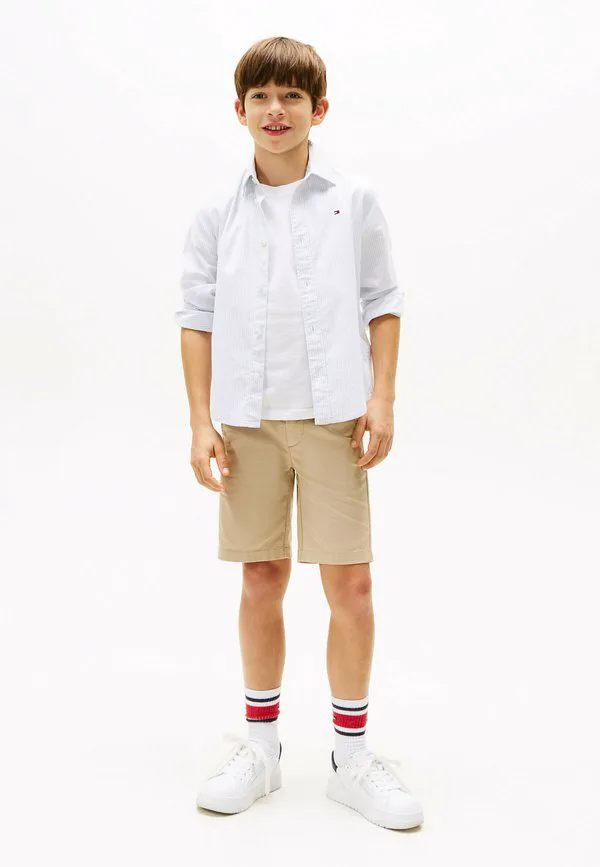 Футболка flex ithaca Tommy Hilfiger, Breezy Blue Stripe