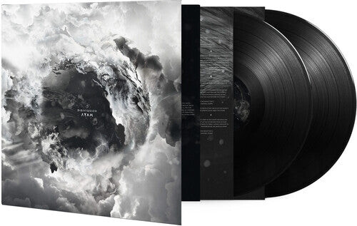 

Виниловая пластинка Disillusion: Ayam