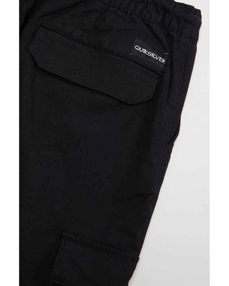 

Брюки Quiksilver Back To Cargo Pants, черный