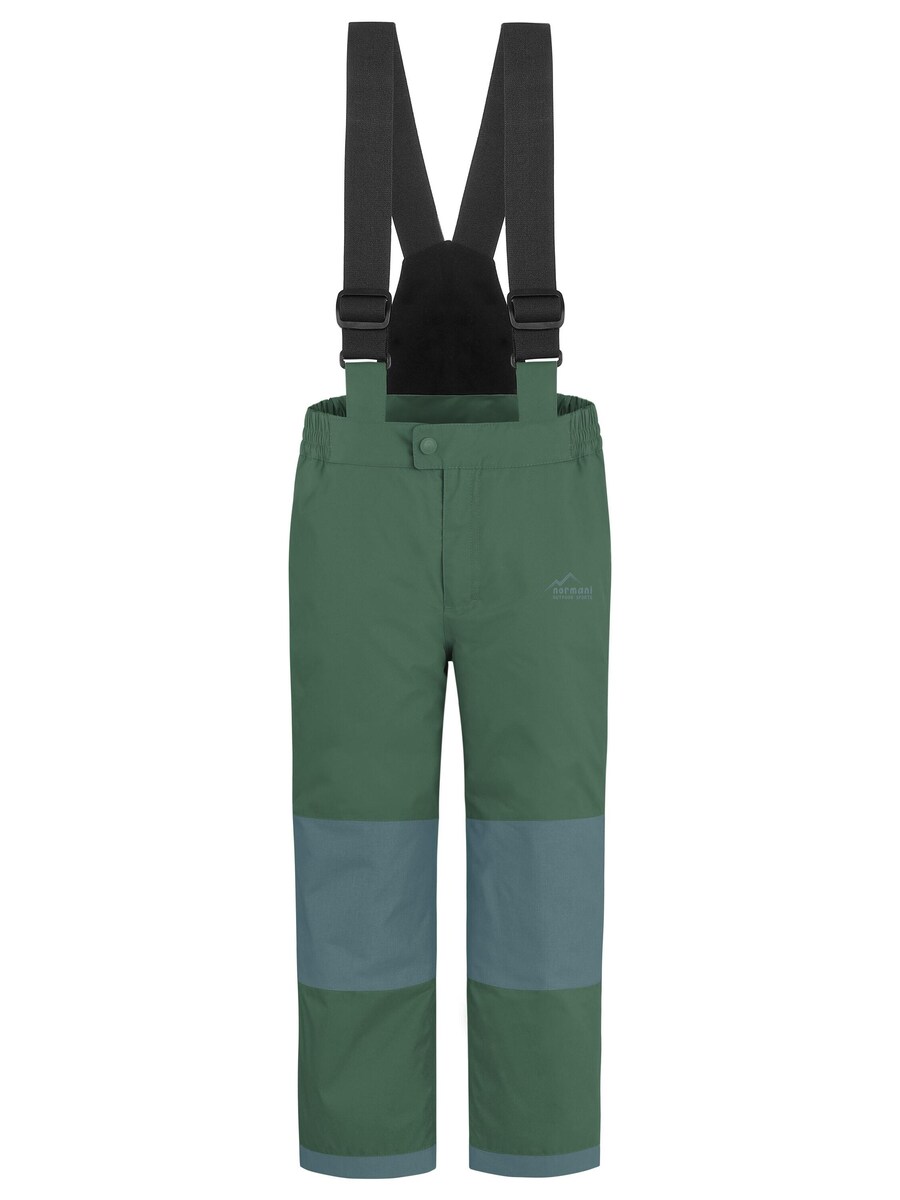 

Обычные тренировочные брюки normani Chena, цвет Jade/Dark green