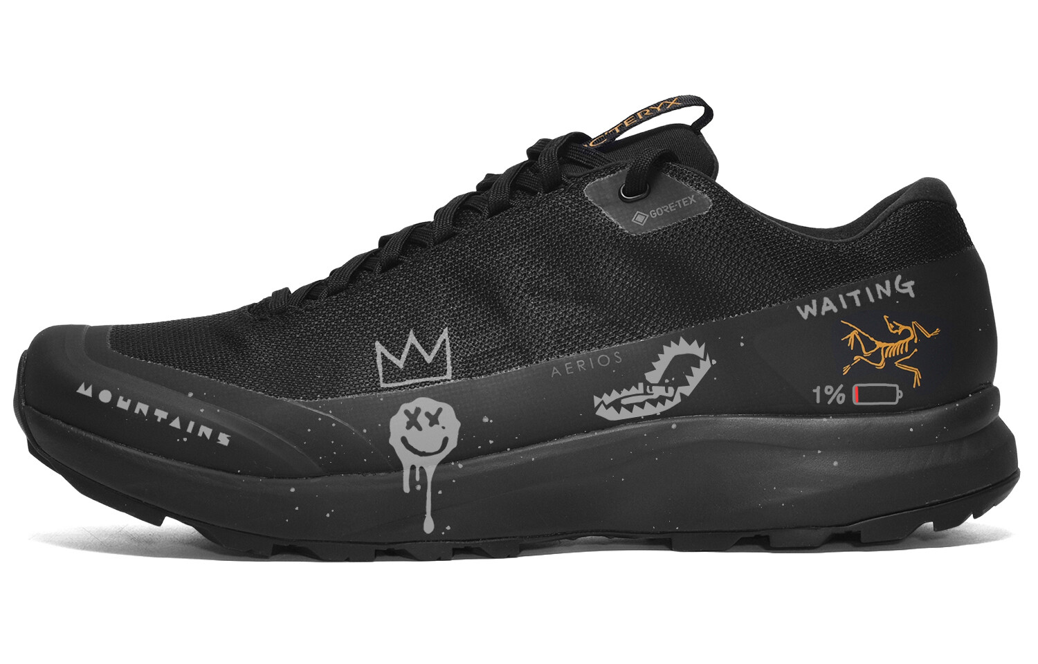 

Кроссовки Arcteryx Aerios Fl 2 с рисунком, черный / серый