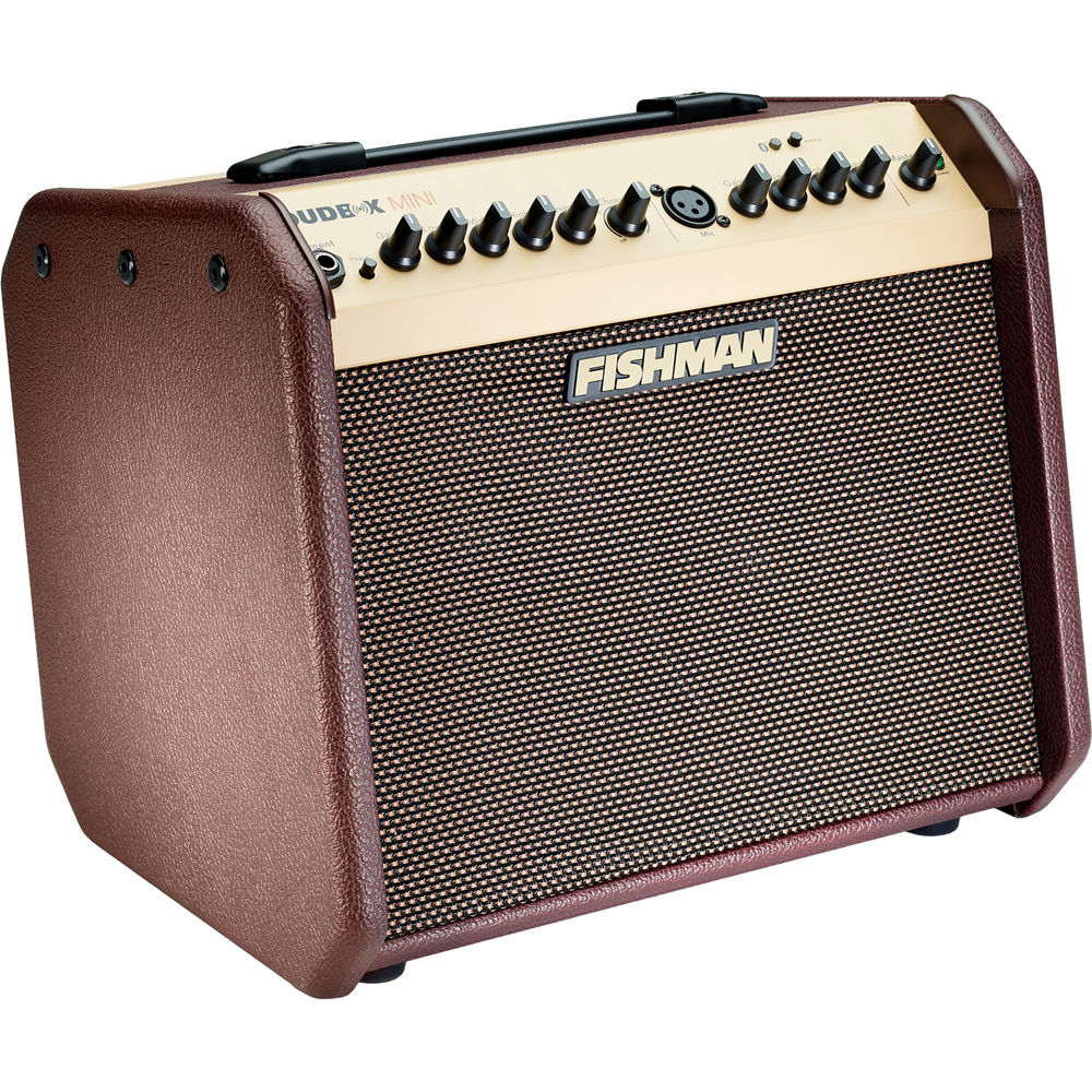 

Гитарный усилитель Fishman Loudbox Mini Bluetooth 60W Acoustic Combo PRO-LBT-500