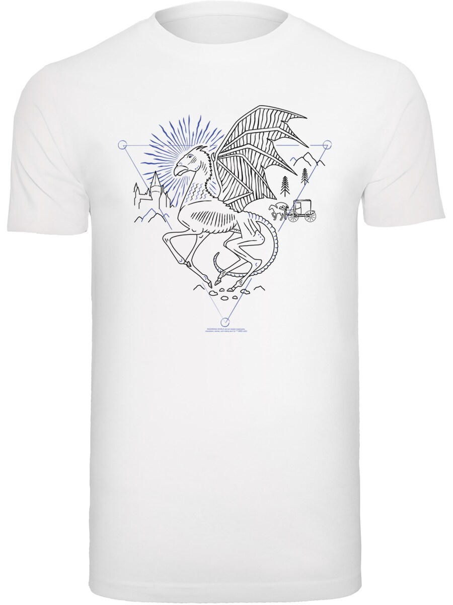 

Классическая футболка F4NT4STIC Shirt Harry Potter Thestral, белый