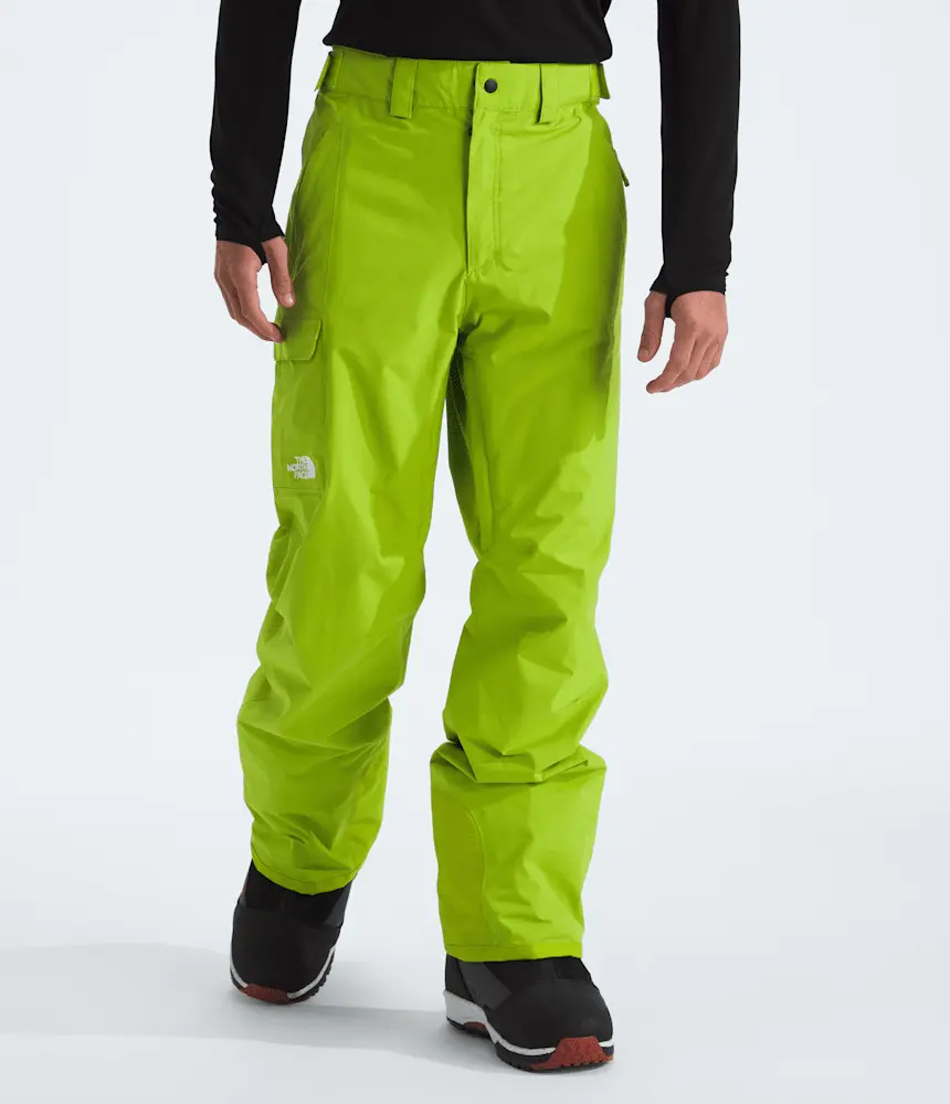 

Мужские брюки Freedom The North Face, Meadow Grass