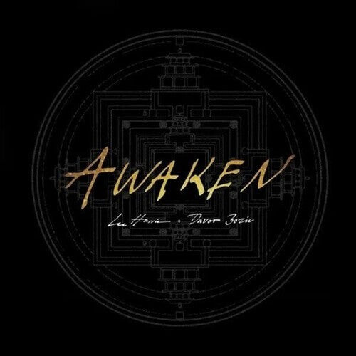 

Виниловая пластинка Harris, Lee / Bozic, Davor: Awaken - Gold