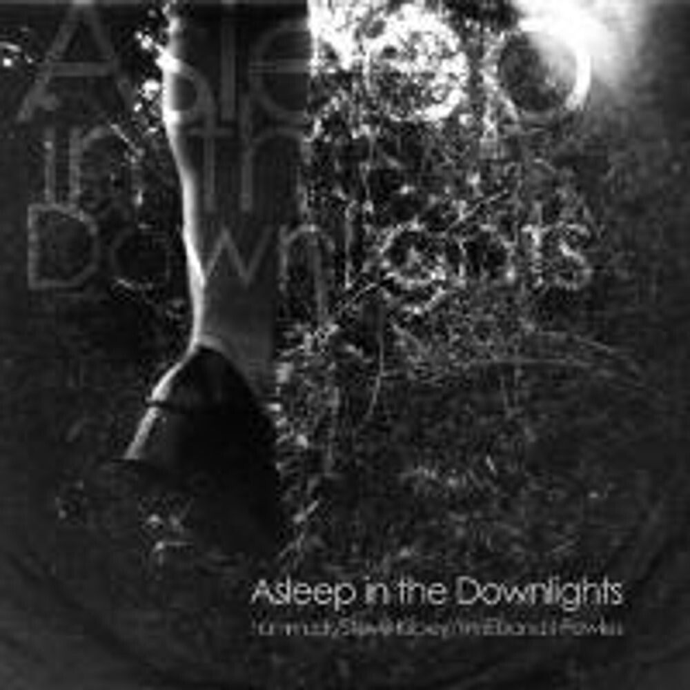 

Диск CD Asleep In The Downlights - Hammock