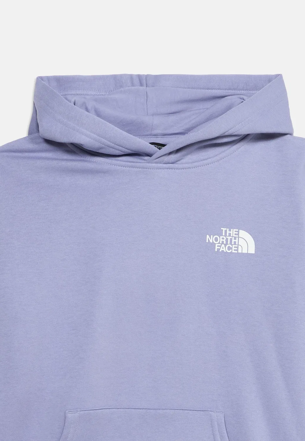 Худи Teen Evolution Box унисекс - худи The North Face, Pale Plum — фото 4