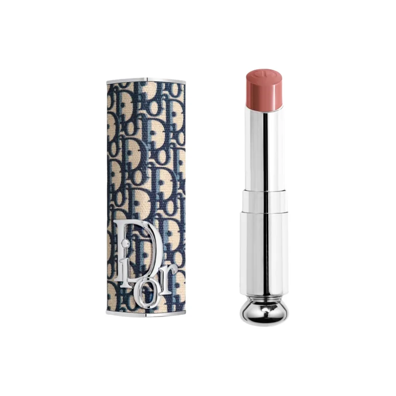 DIOR Косметичка для помады N'Roses, набор для макияжа, легко растушевывается, натуральный подарок на день рождения, #521 Diorelita