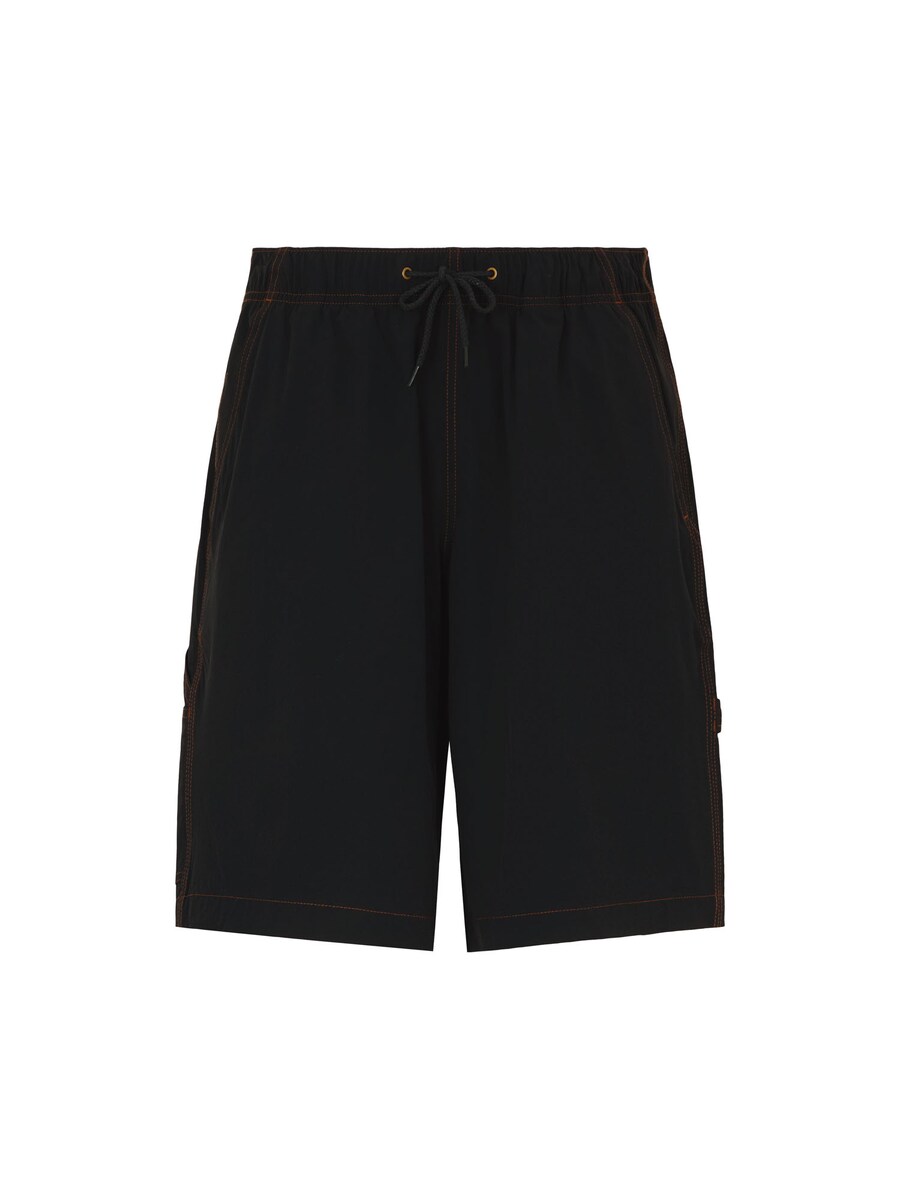 

Свободные брюки-карго DICKIES Wilsall, черный